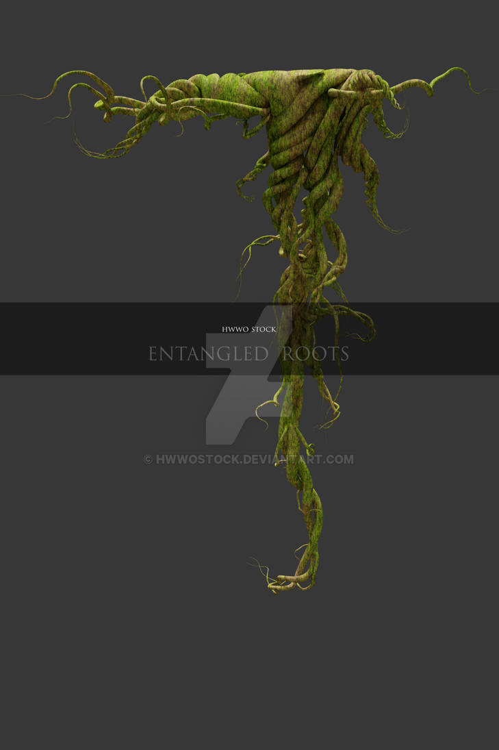 Fantasy Entangled Roots - Overlay by HWWOStock on DeviantArt