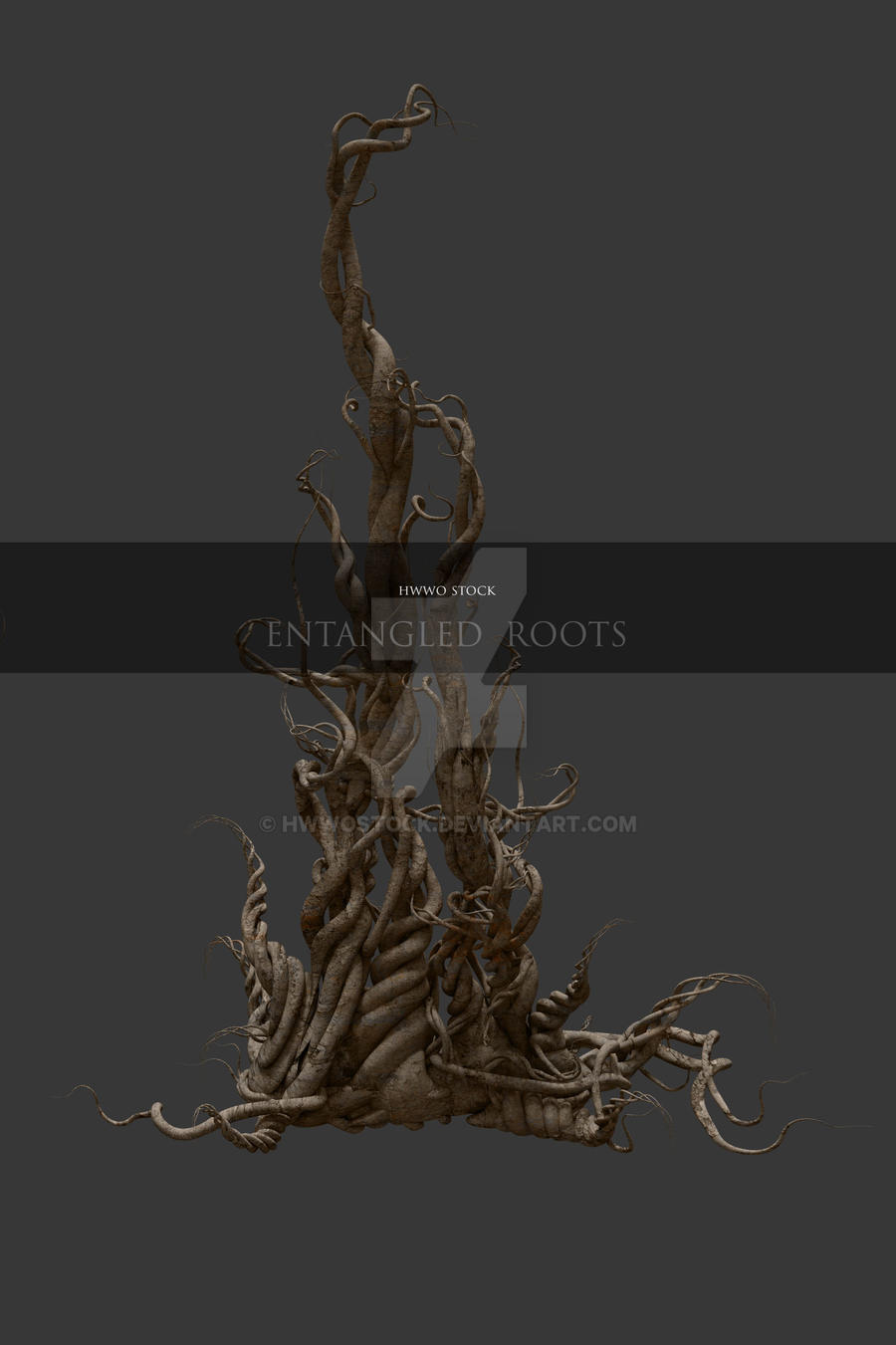 Fantasy Entangled Roots - Overlay by HWWOStock on DeviantArt