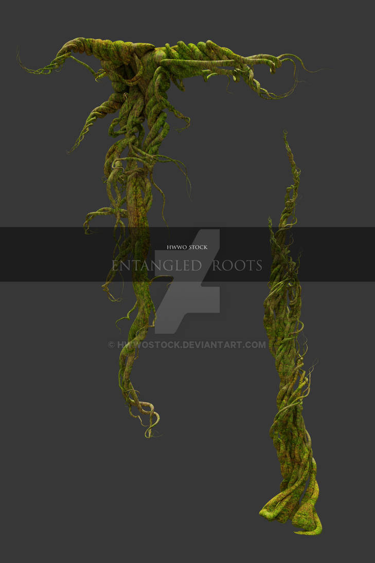 Fantasy Entangled Roots - Overlay by HWWOStock on DeviantArt