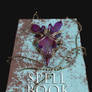 Witch's Spell Book - Overlay