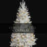 Christmas Tree -Overlay