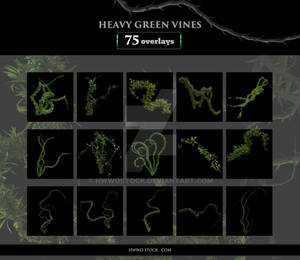 Heavy Green Vines - Prime VINES - OVERLAYS