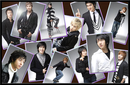 12 Member Super Junior