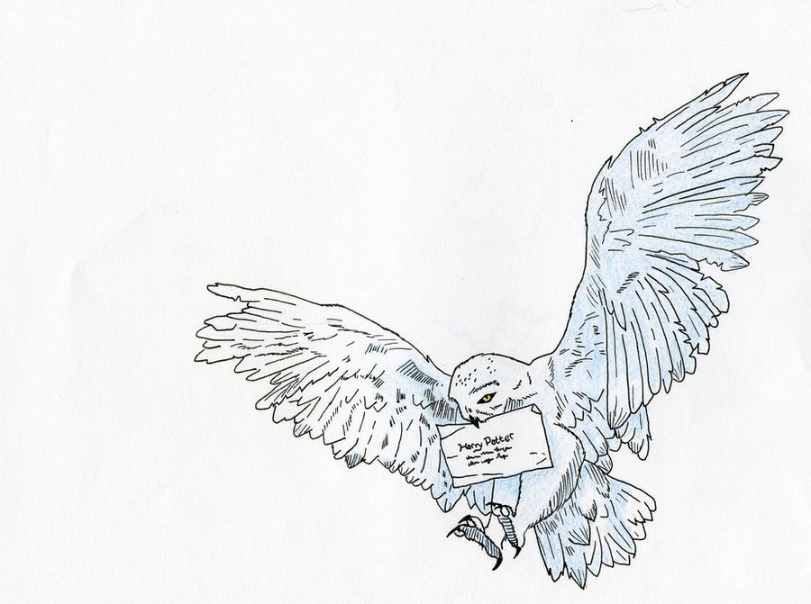 Hedwig Activity Hedwig by kalizin on DeviantArt