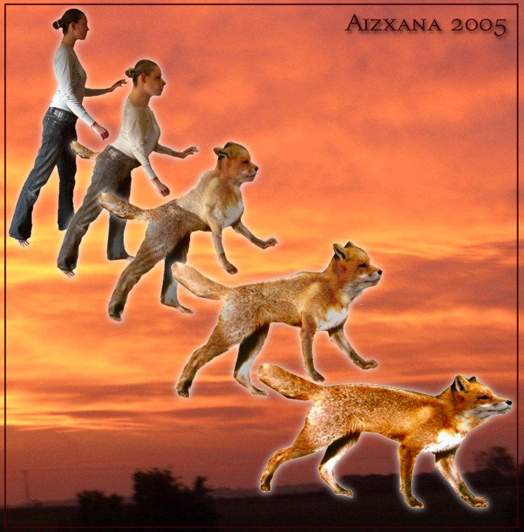 Fox Morph by Aizxana on DeviantArt