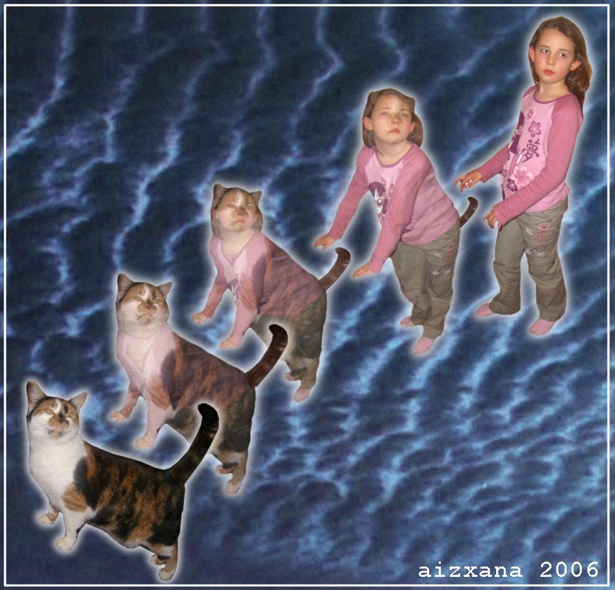 Cat Morph III by Aizxana on DeviantArt