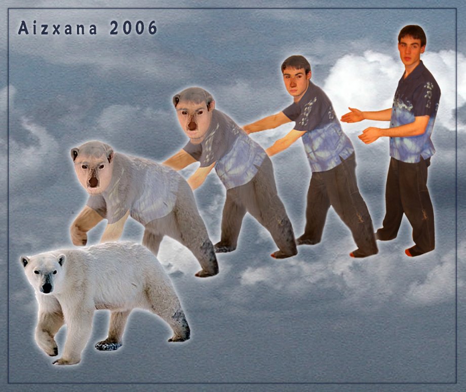 Polar Bear Morph by Aizxana on DeviantArt