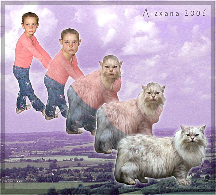 Polymorph Cat Cat Morph IV by Aizxana on DeviantArt