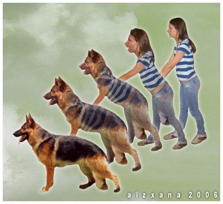 German Shepherd Morph by Aizxana on DeviantArt