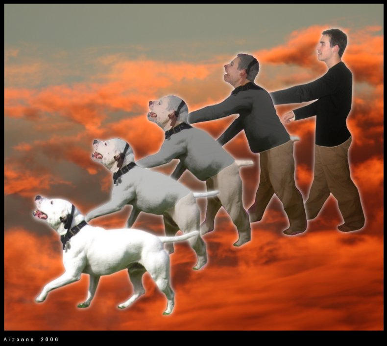 AFF, here I come! by Aizxana on DeviantArt