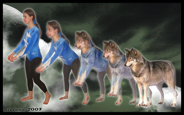 Anamorphic Wolves Wolf Morph III by Aizxana on DeviantArt