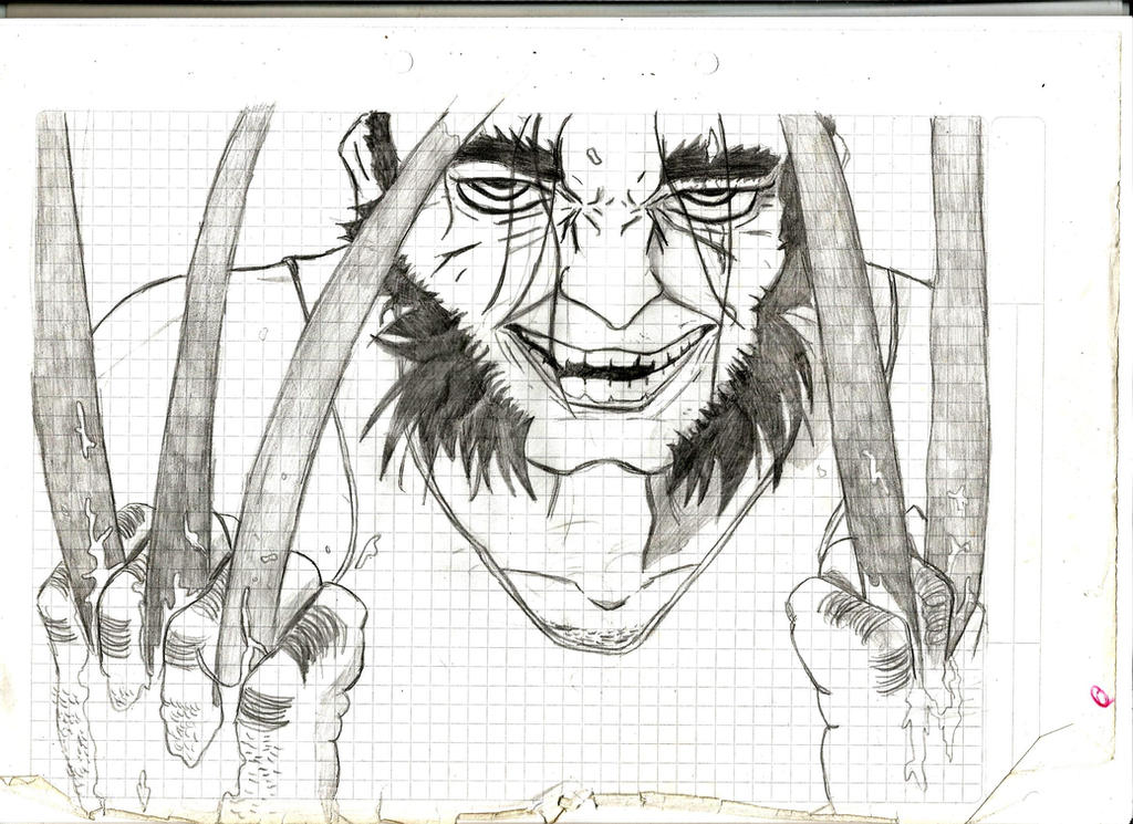 Wolverine Rage Drawing Rage of The Wolverine by Zorak-Julieta-Sama on DeviantArt