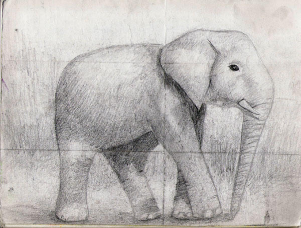 Elephant