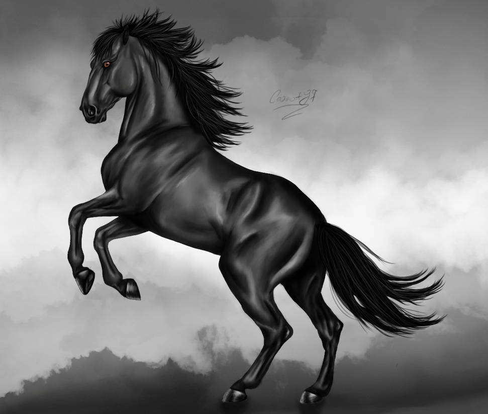 Про черного коня. Лошадь. Черный конь. Картинки лошадей. Красивый черный конь.