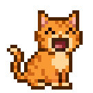 Cat@5x