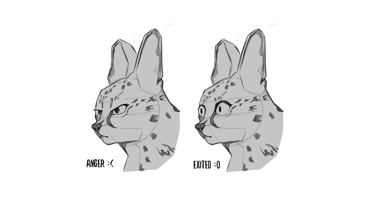 Tutorial-basicexpressions2
