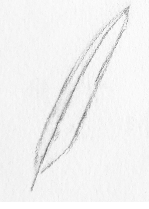 Step2-feather