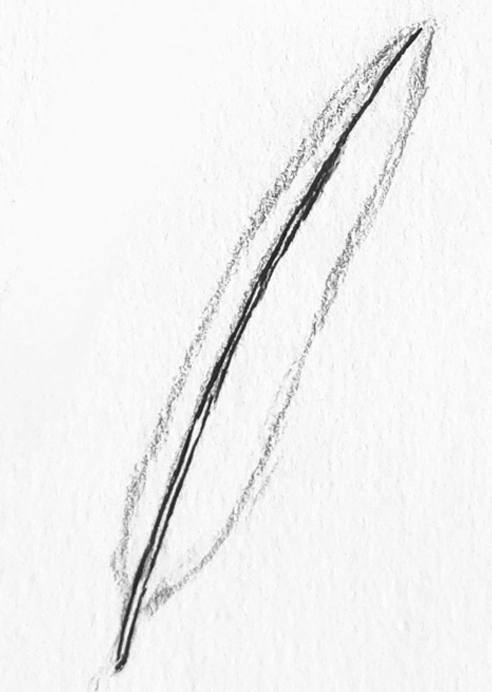 Step3-feather