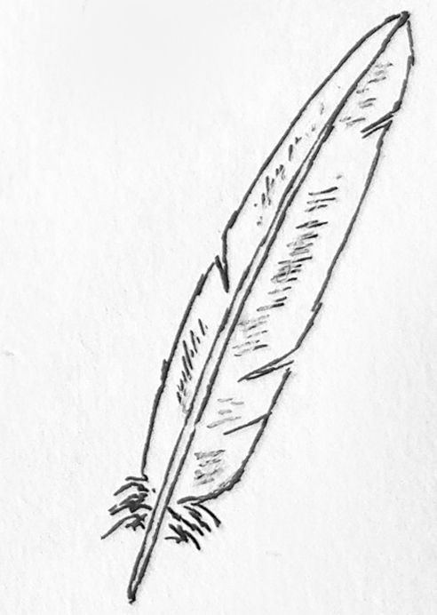 Step5-feather