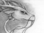 Dragon by GlassKitsune