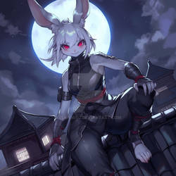 Inaba, of the White Night Clan