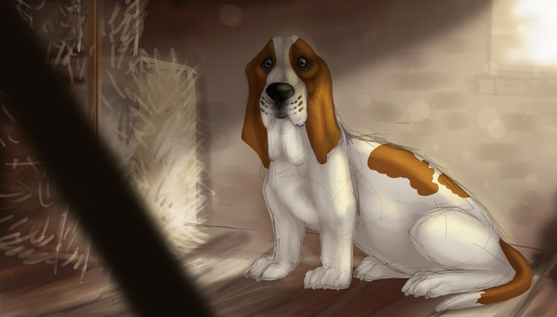 Bassethound sketch by Miosita
