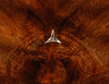 Marquetry into Mercedes-Benz with silver Star