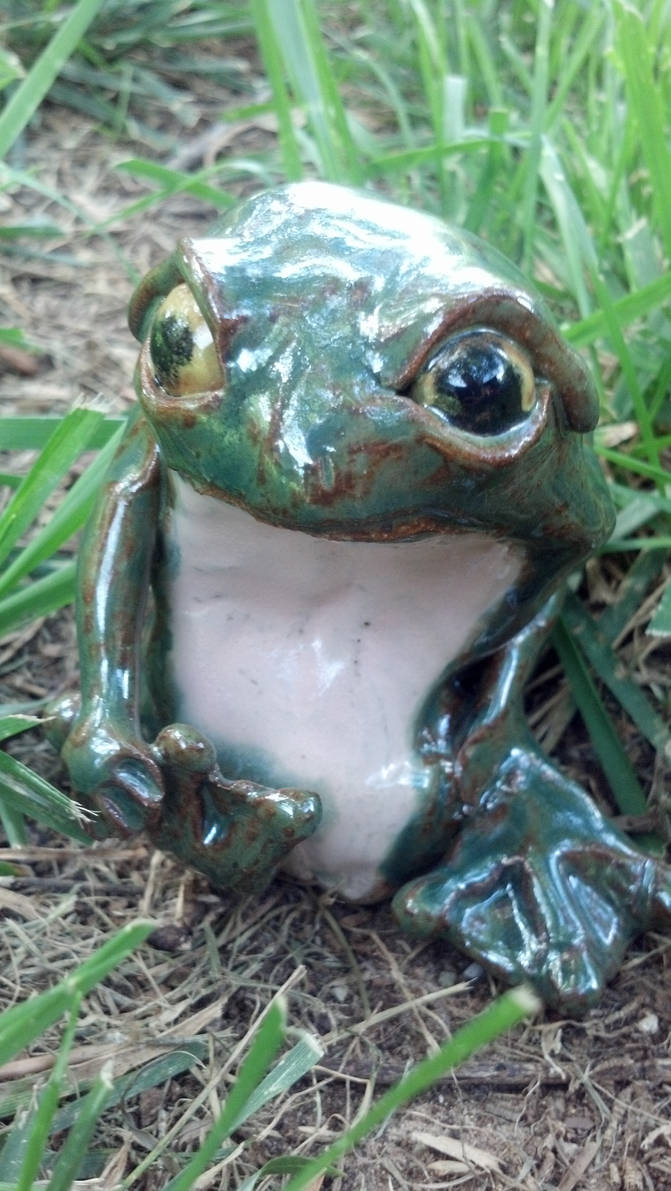 Repulsed Frog by WitsomeWonder on DeviantArt