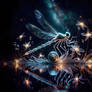 Night Escapades