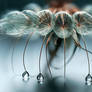 The Balance of Fragility
