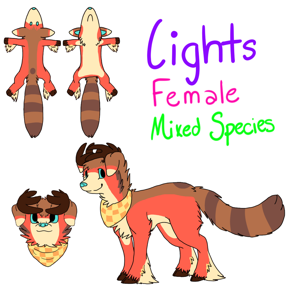 Lights Reference Sheet