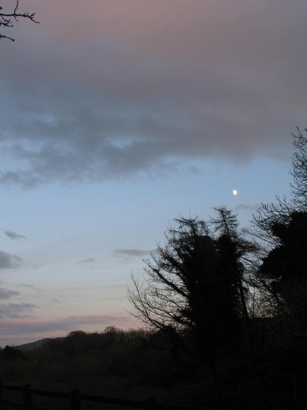 Irish evening