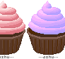 chocolate cupcakes