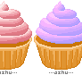 vanilla cupcakes