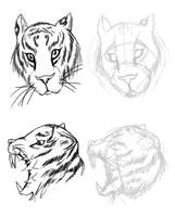 Tiger sketch
