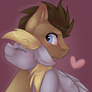 Hearts and Hooves Day