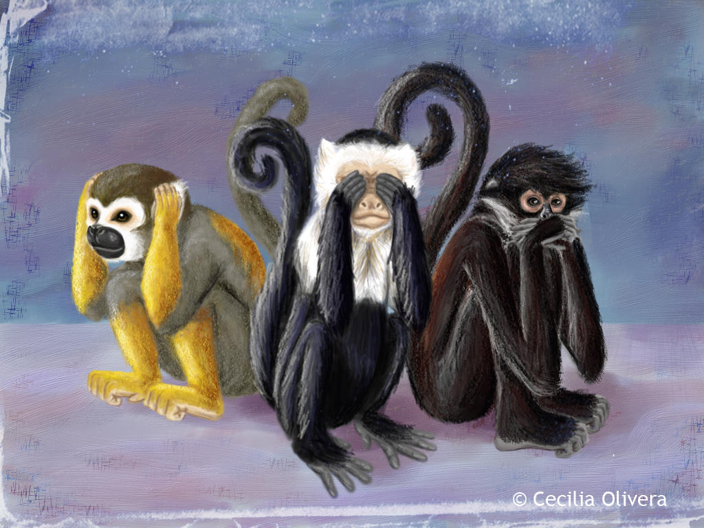 Monkey wallpaper by cocowash on DeviantArt