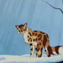 Snow Storm