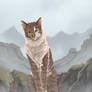 (COMM) Mountain Watcher