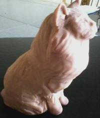 making of sculpting/painting sculpture of my cat