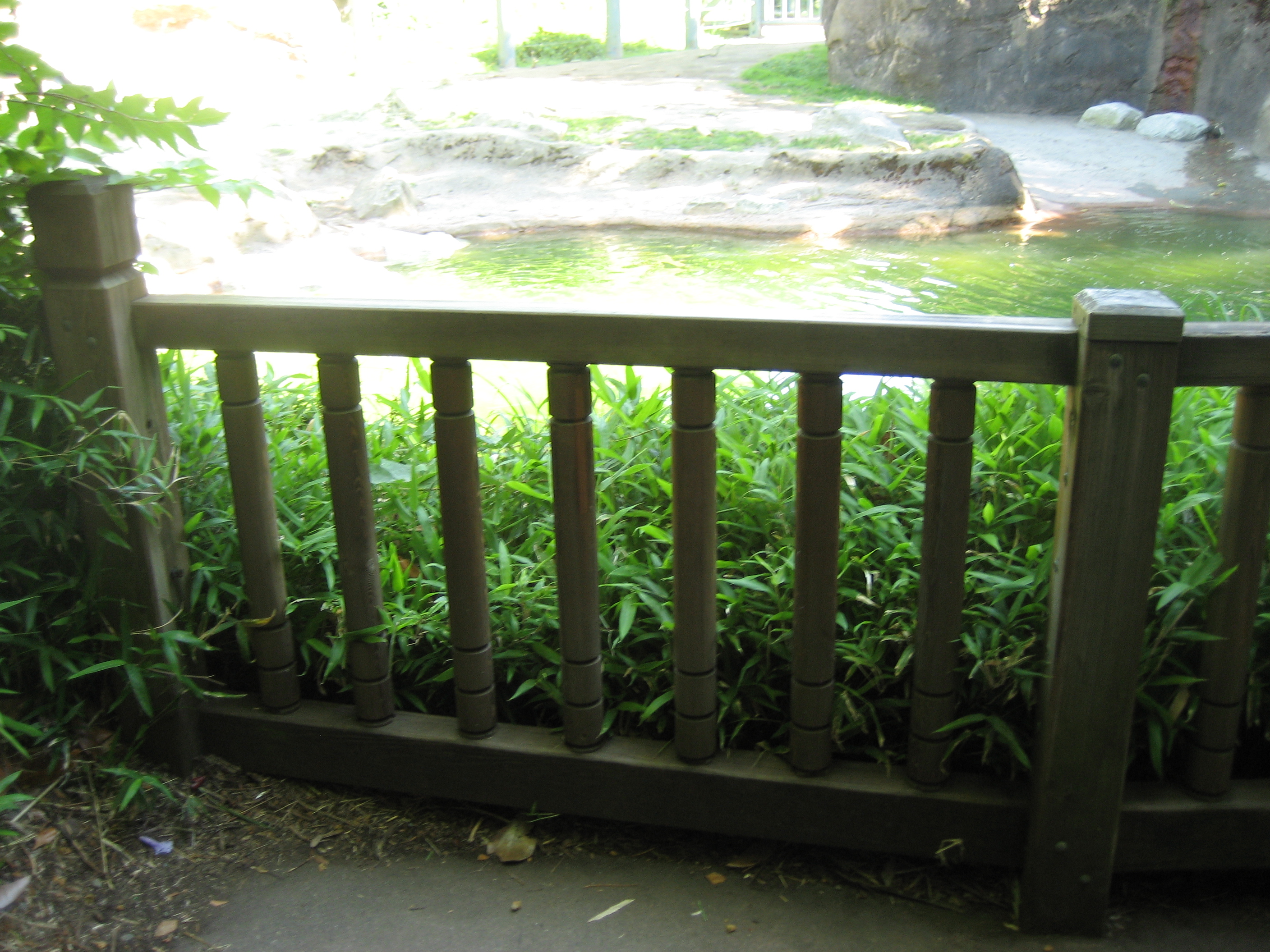 Bamboo Fence