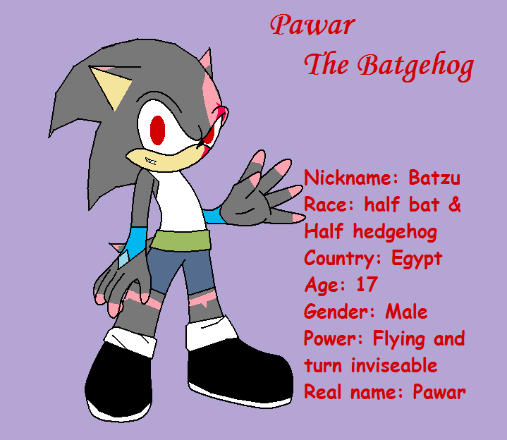 Pawar The Batgehog