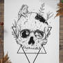 Skull Ink Illustration for Science of Disorder