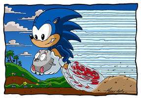 PICCIONIC THE HEDGEPICC - Color