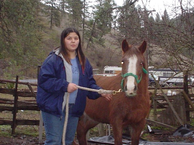 My 1st horse 2