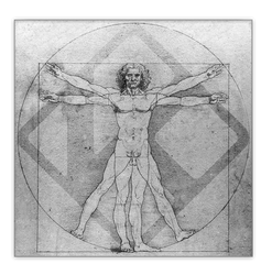 Kodi Vitruvian Man Da Vinci