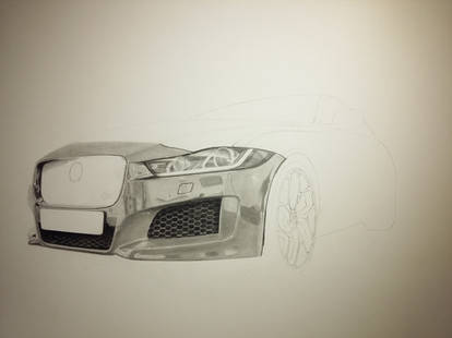Jaguar pencil drawing ( work in progress)