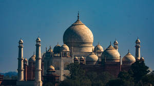 The Taj