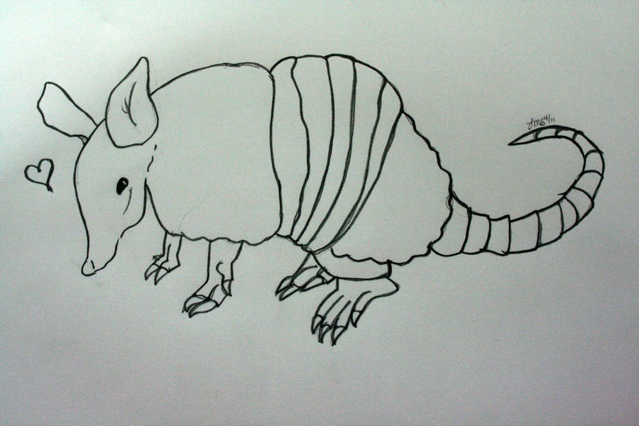 Armadillo Dude