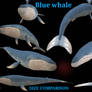 spore Blue whale